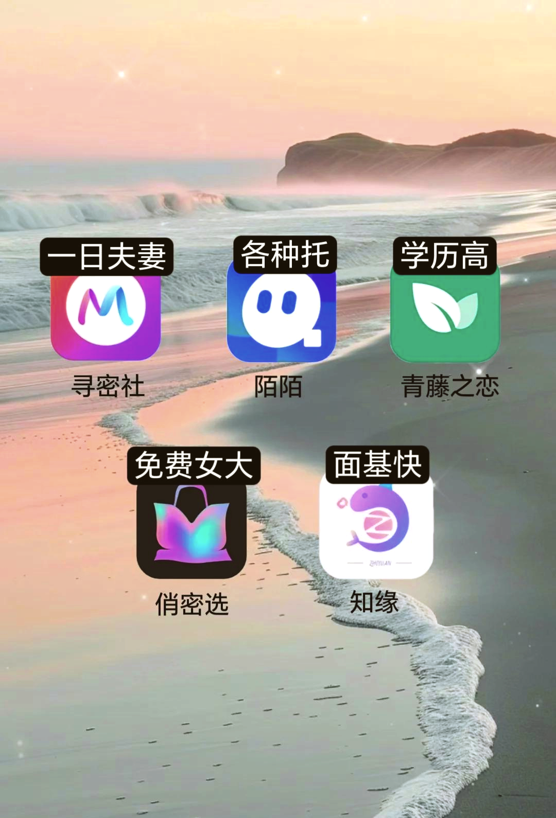 志同道合同城交友平台的简单介绍